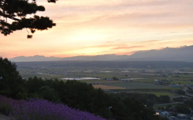 hotel hanafuji inn