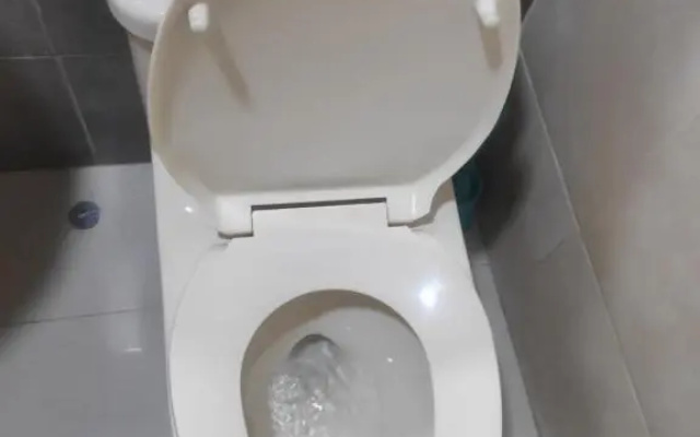 Green House