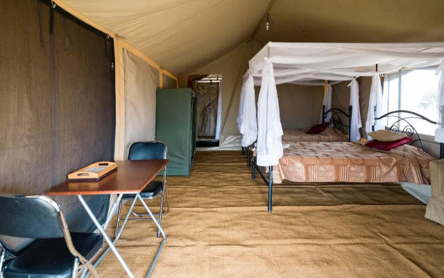 Serengeti Wild Camp