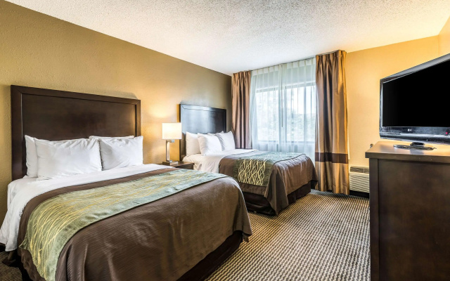 Comfort Inn Detroit Downtown