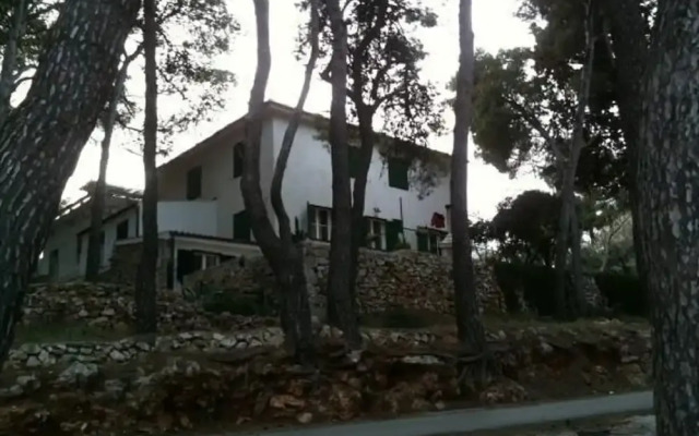 Ivica - 40 m From Beach - A1