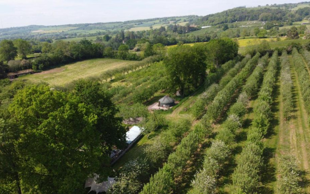 Dragon Orchard Retreat