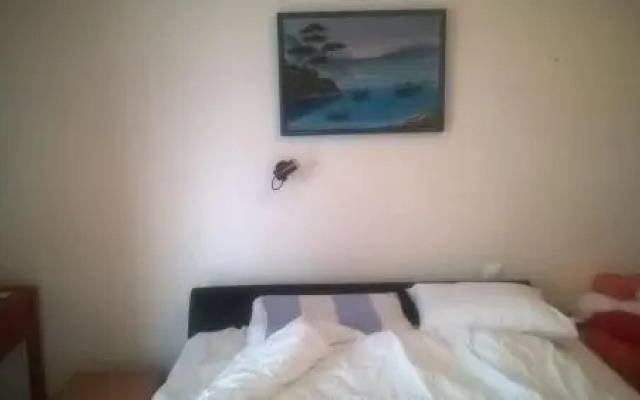 Hotel Milionis