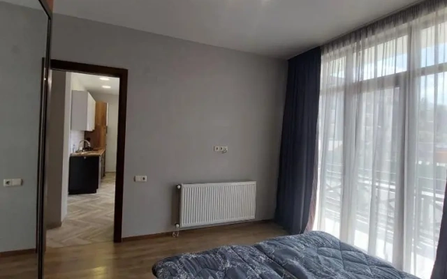 Apartment 102 Bakuriani