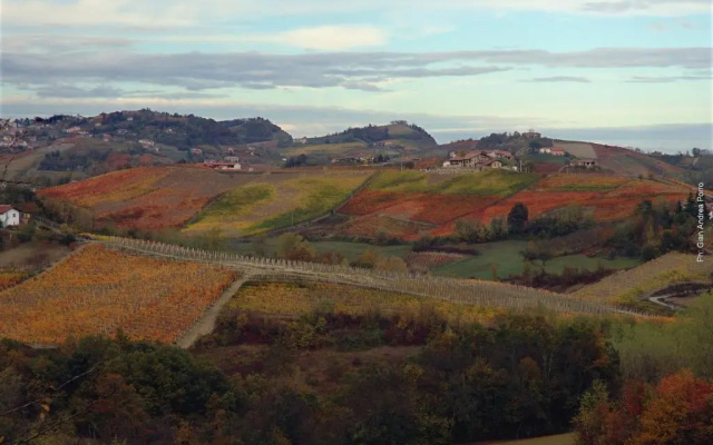 Casapecchenino