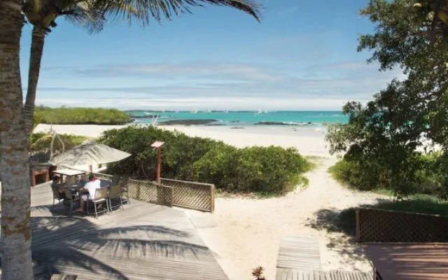 Red Mangrove Isabela Lodge All Inclusive Adventure