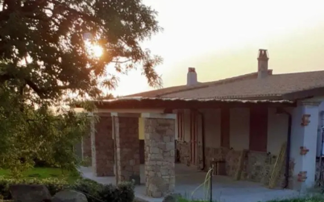 L'oliveto
