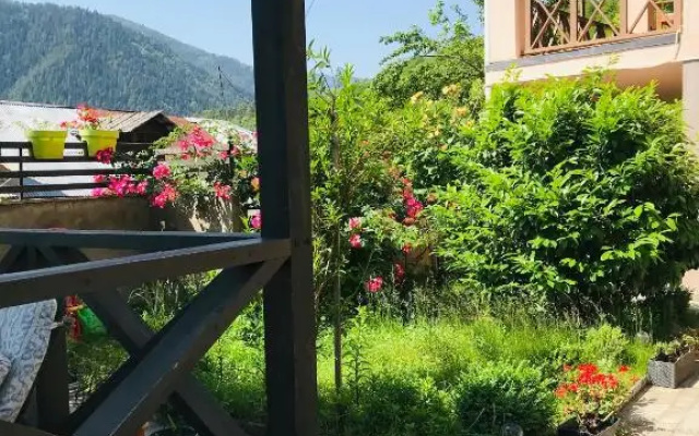 Виктория Панорама
