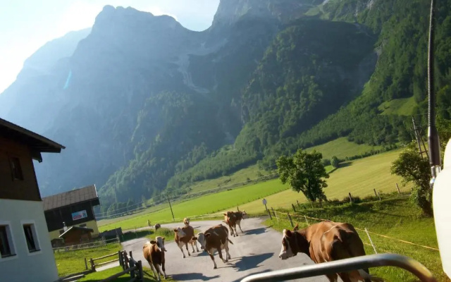Vorderhof