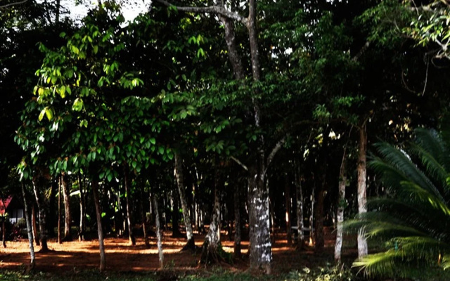 Hotel Ciudad Resort