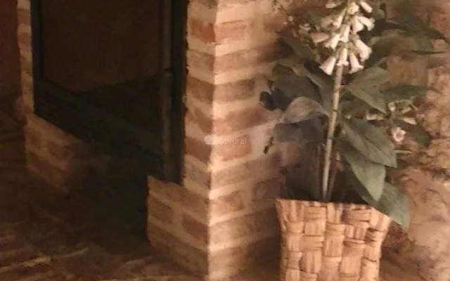 La Casa De La Tila