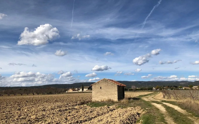Zocalo Ranch