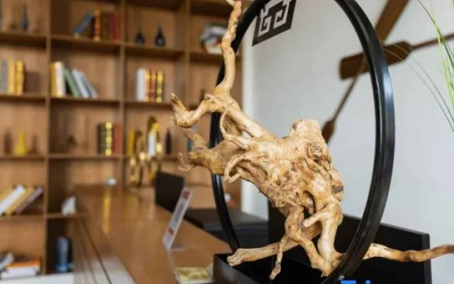 Fuxian Lake Yunxi Coast Homestay