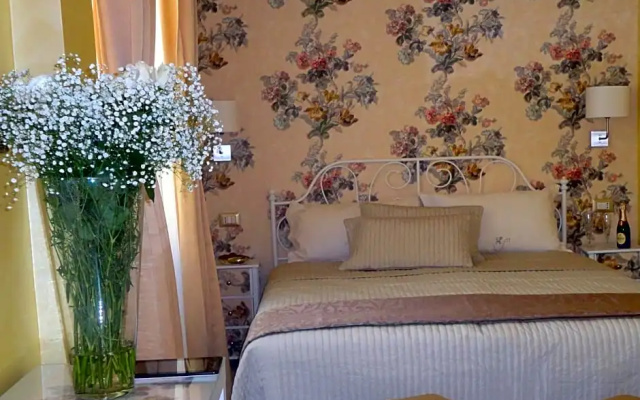 CAMEO B&b