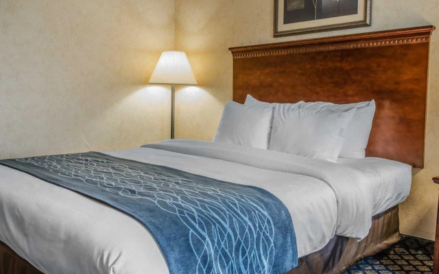 Quality Inn And Suites Coldwater Area