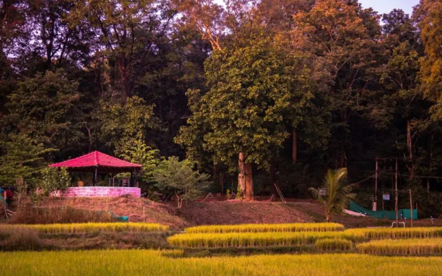 Kali river side homestay