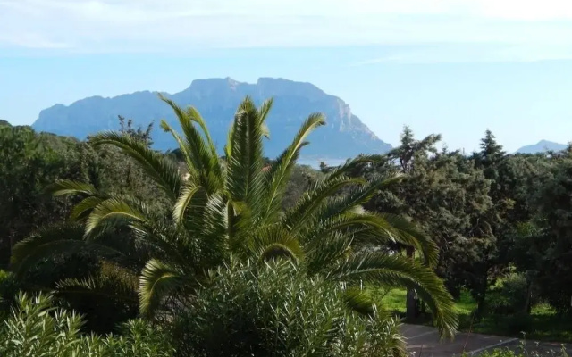 Trilo Bellavista 3