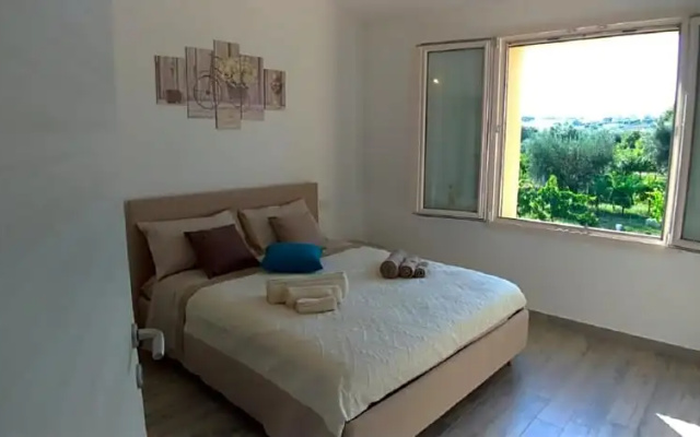 B&B Hibiscus