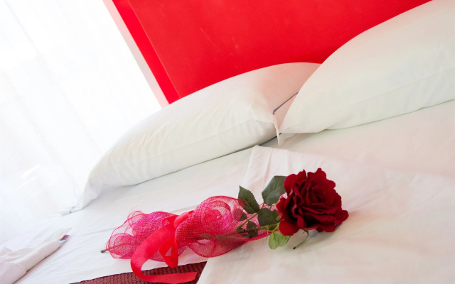 Minihotel IRIS