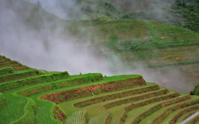 Floral Hotel · Longsheng Longji No.1 Cloud Hotel (Longji Terrace No.1 Viewing Platform Store)