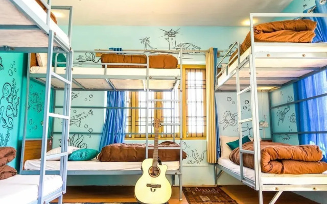 The Bunker Hostel - Dharamkot