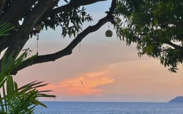 Infinity Diving Resort And Residences