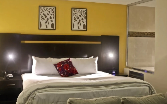Hotel Bijou Amethyste