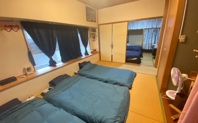 Staypia Acoute