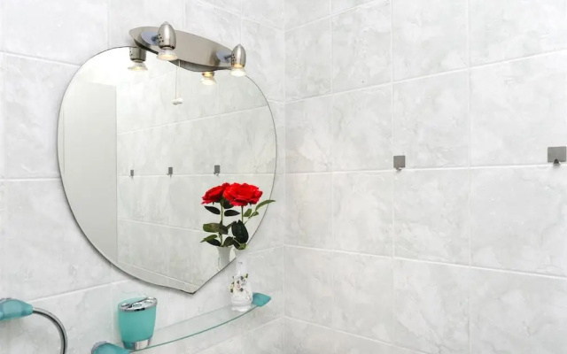 Apartment Branka