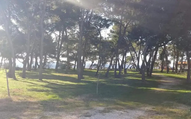 Apartman Petar