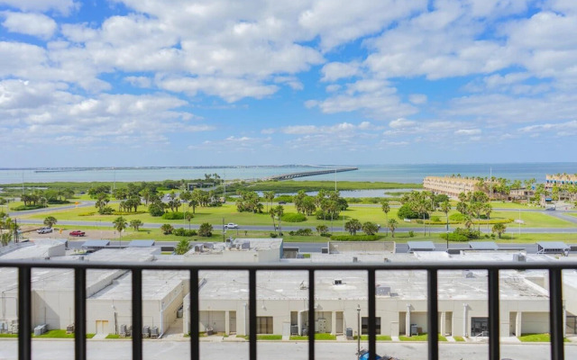 Saida Towers 3-903