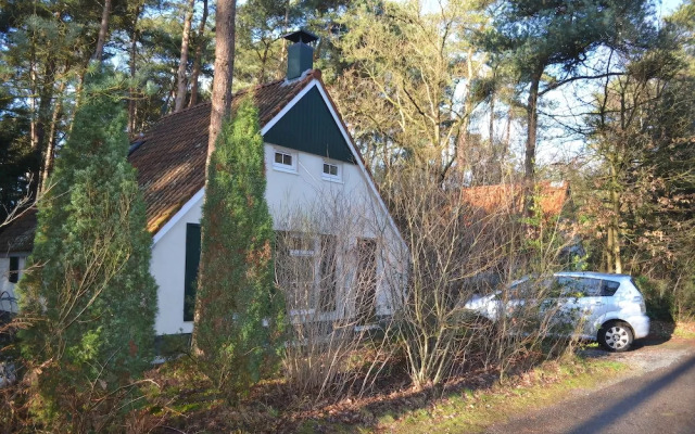 wittebergen25
