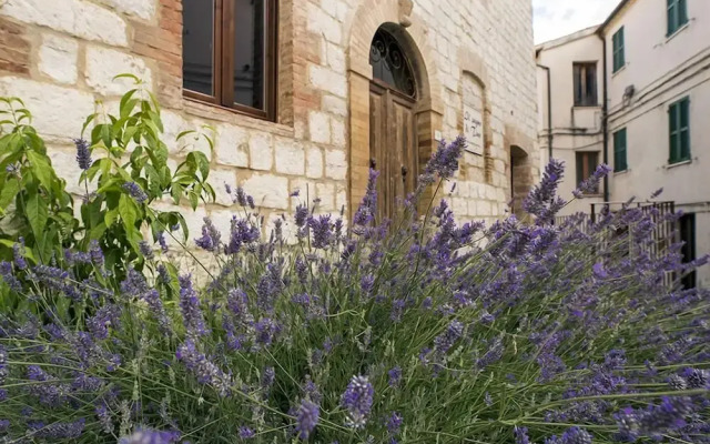 Il Sogno di Tino