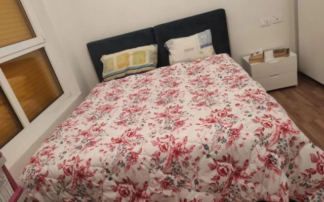 Modern apartment in Tirana