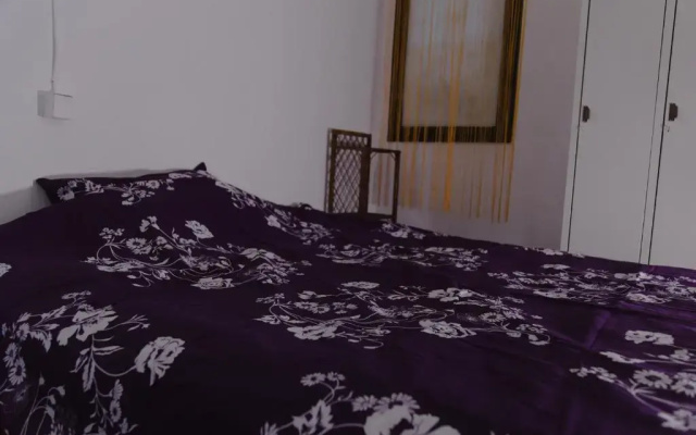 Hostel Belgrade Shungit Dragana Jeftica br 10