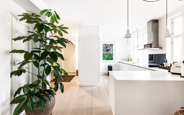 Dinesen Collection Luxury Condos By Royal Danish Theatre