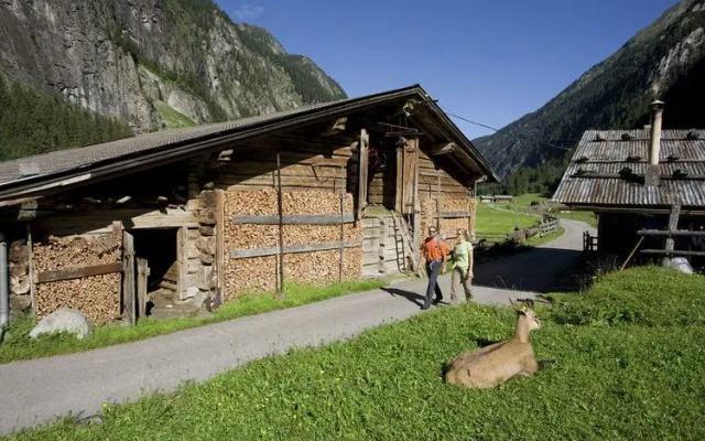 Peaceful Apartment in Mayrhofen with Terrace