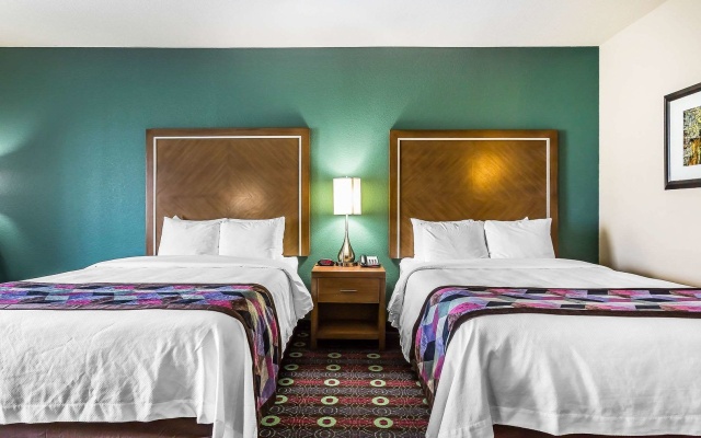 Comfort Inn & Suites - Newcastle