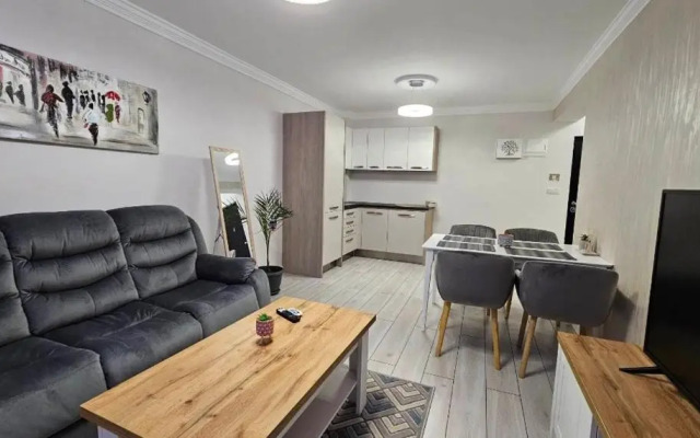 Divine Apartments Oradea Ap 19
