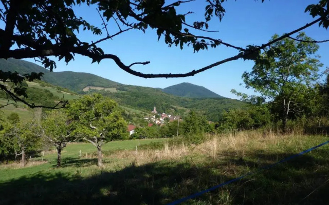 Gîte Schlitteur Et Sapiniere