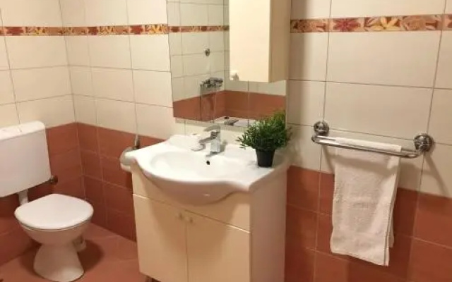 Apartment Antiša