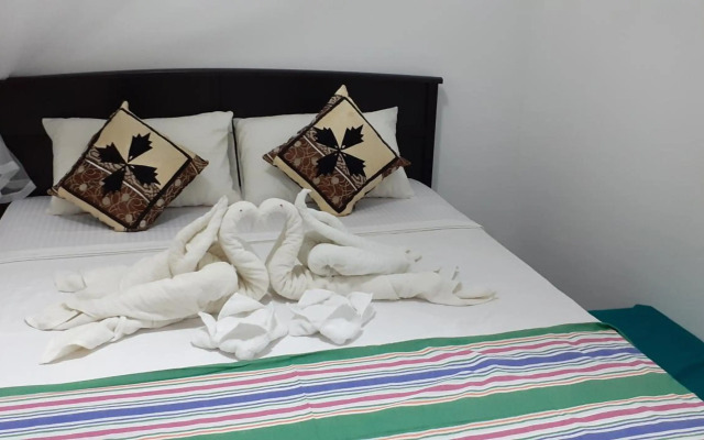 Nature Night Homestay