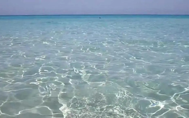 baia verde appartamento 150 m dal mare