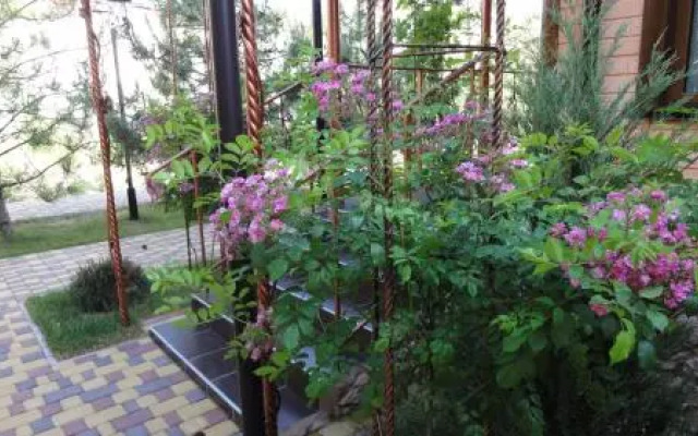 Villa Sosnovy Bor