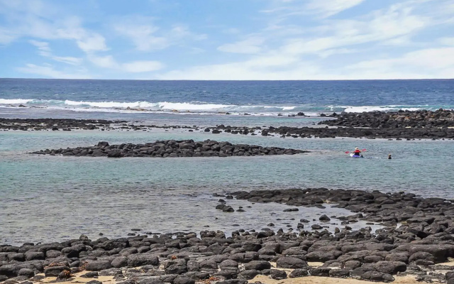 Swimmers' Rest