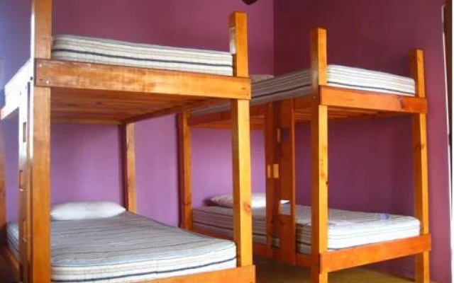 Tribu Hostel