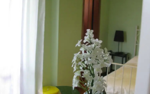 Volpino