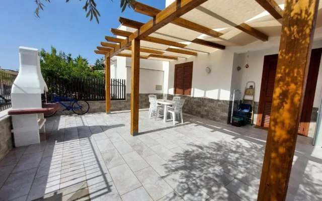 Ulivo 32