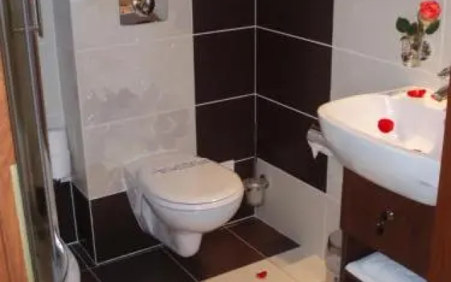 Hotel Welski