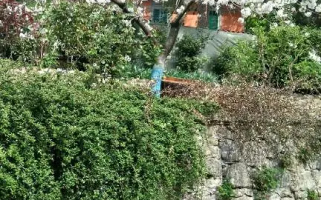 Casa Cecconi (On The Hills Of Florence)